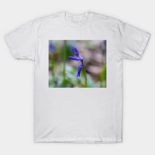 Bluebell - woodland flower T-Shirt